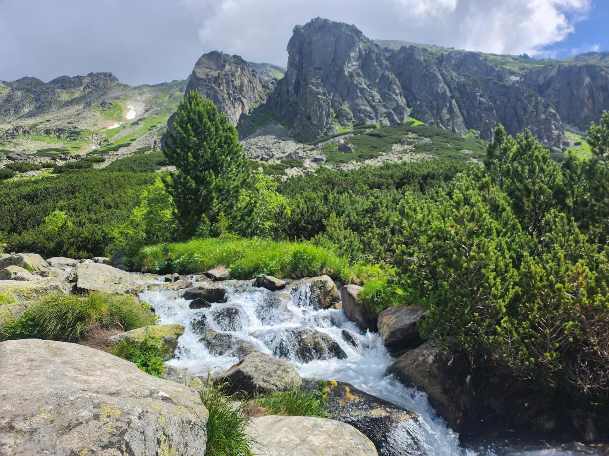 Apartman Ve Vysokych Tatrach Štrbské Pleso Dış mekan fotoğraf