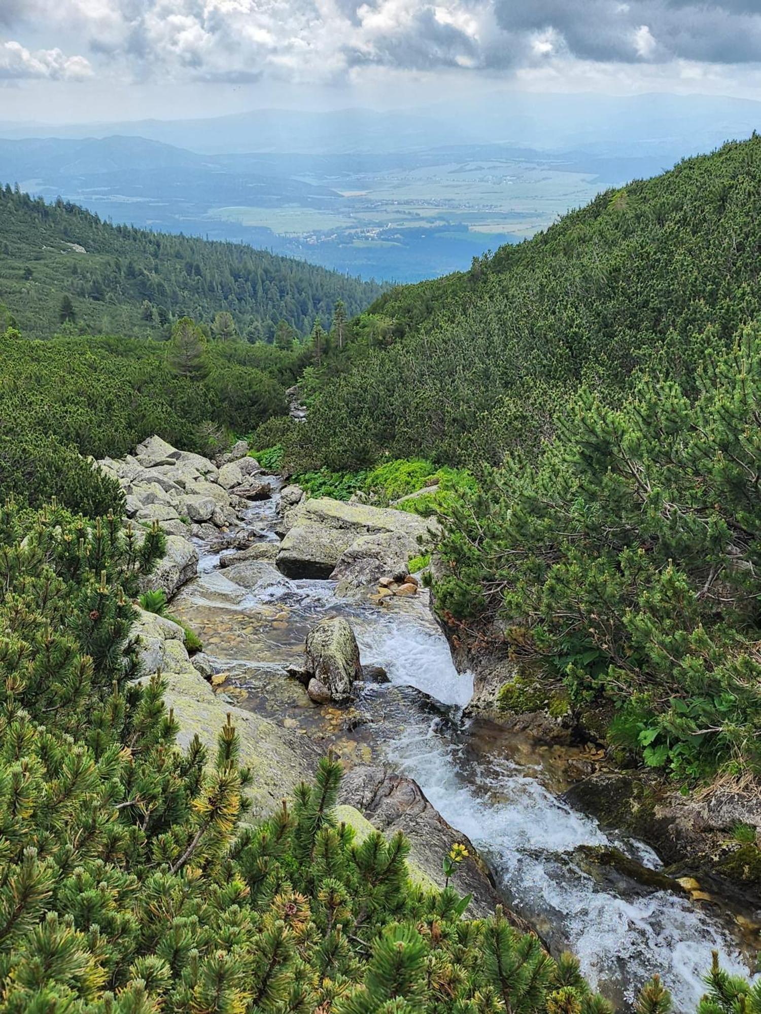 Apartman Ve Vysokych Tatrach Štrbské Pleso Dış mekan fotoğraf