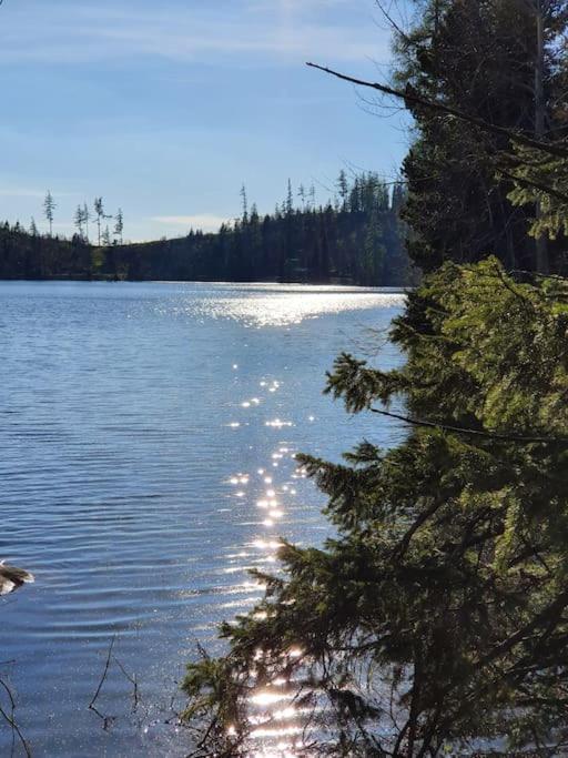 Apartman Ve Vysokych Tatrach Štrbské Pleso Dış mekan fotoğraf